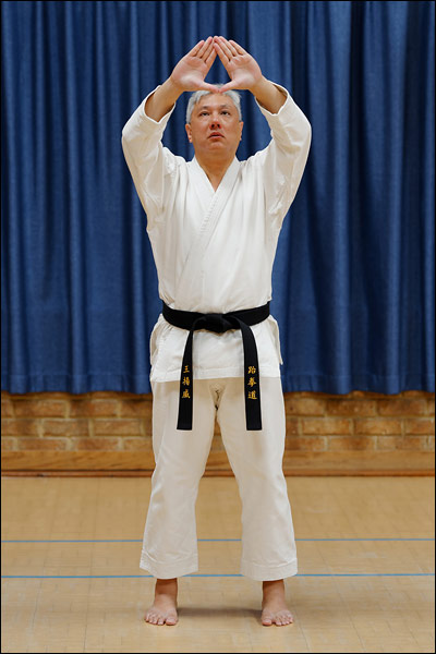 Kwang-Gae hyung ready stance by Yean Wei Ong, February 2025, Perth