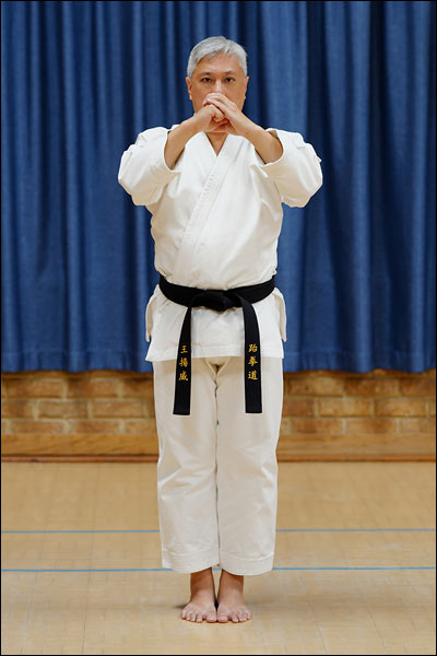 Won-Hyo hyung ready stance by Yean Wei Ong, February 2025, Perth